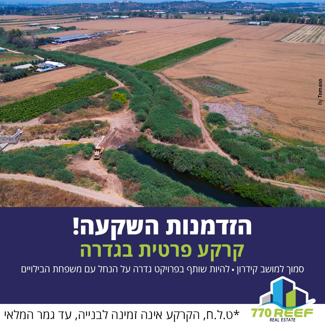 ריף נדל',